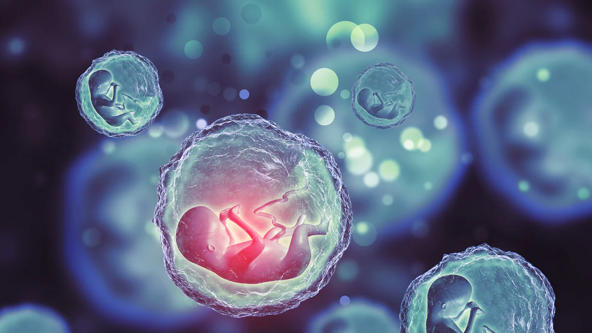 Wissenschaftler haben künstlichen Embryo erschaffen