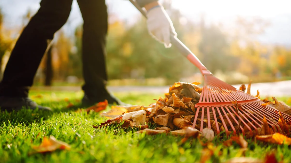 Räumpflicht im Herbst: Auf welche Regeln man jetzt achten muss
