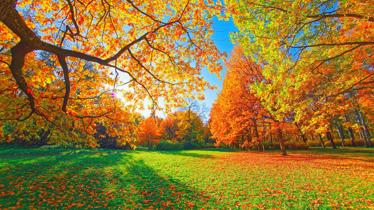 Räumpflicht im Herbst: Auf welche Regeln man jetzt achten muss