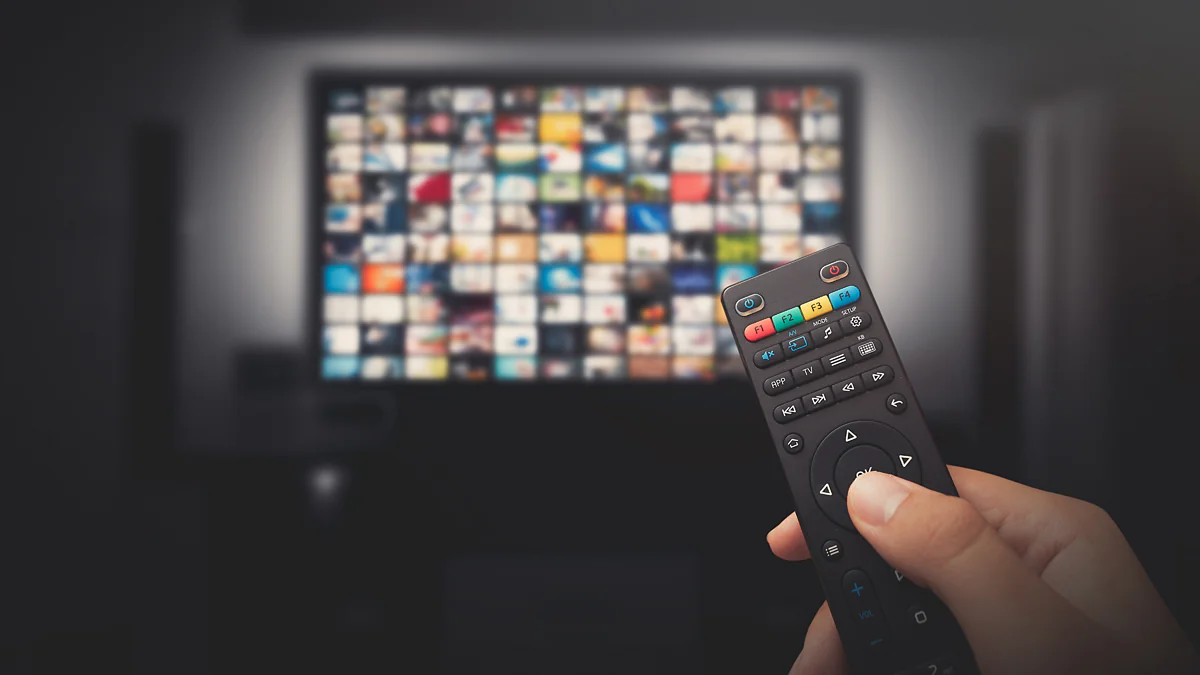 Sanierung von ZDF und ARD: Sieben Sender könnten verschwinden
