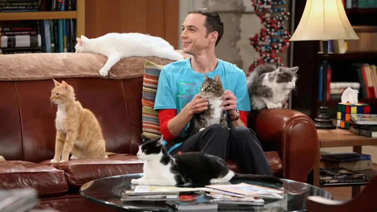 „The Big Bang Theory“ – 10 Serienfehler, die kaum jemand bemerkt hat