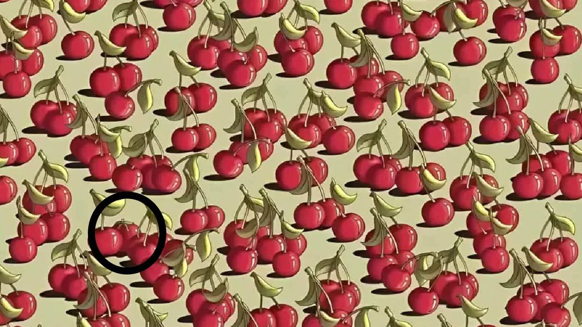 Kniffliges Suchbild: Findest du die Tomate in neun Sekunden?