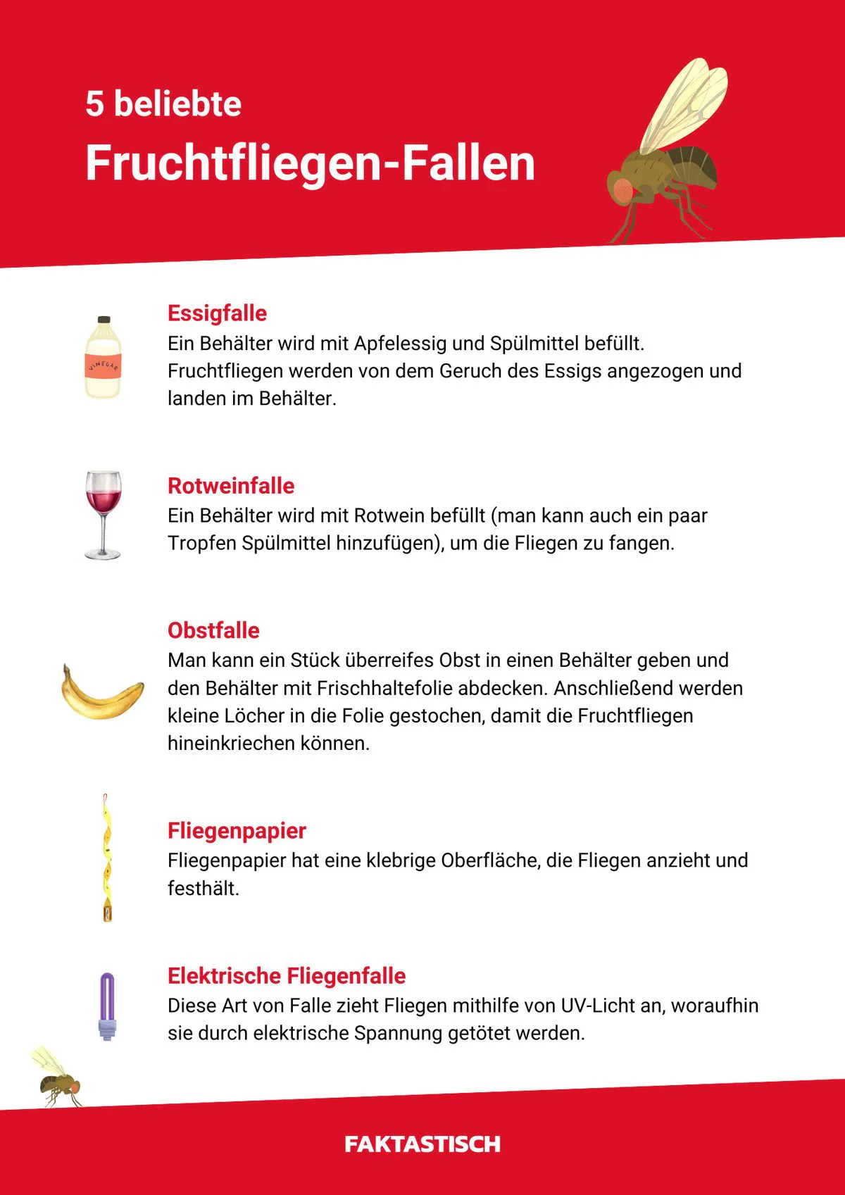 Fruchtfliegenfalle selber machen – so geht's