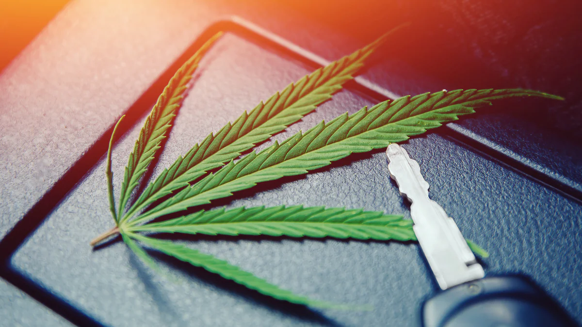 Cannabis-Legalisierung: Neue Grenzwerte für Autofahrer geplant