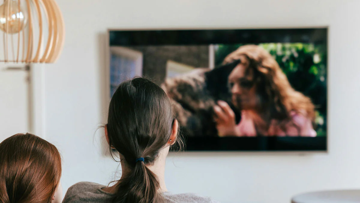 54 kostenlose TV-Sender kommen: TV-Angebot in Deutschland wird erweitert