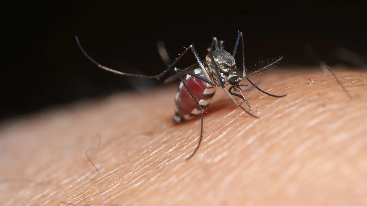 Acht Todesfälle durch das West-Nil-Virus: Experten warnen vor Ausbreitung