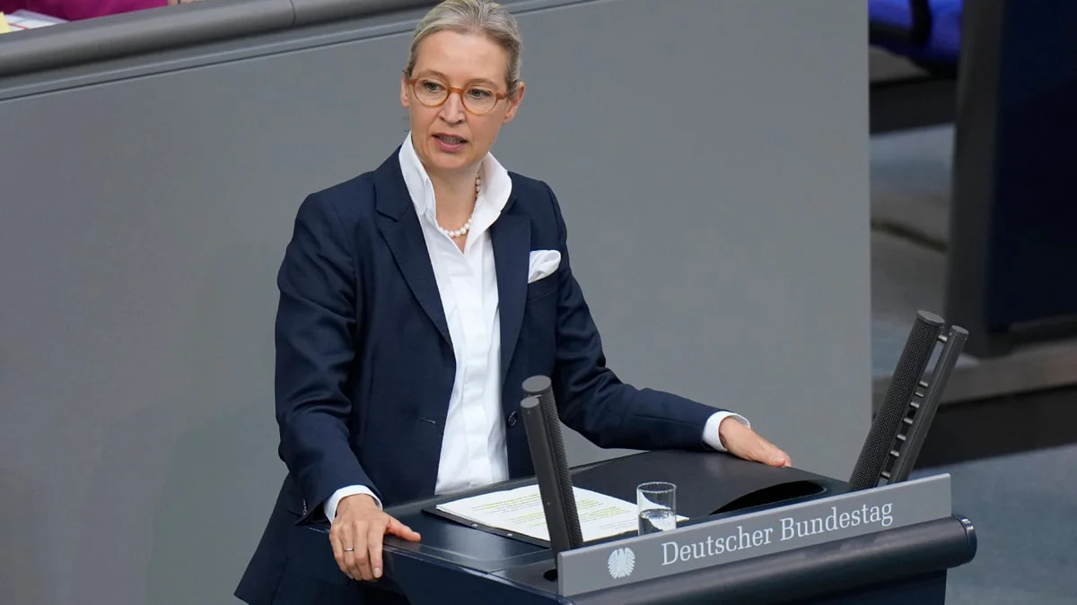 Bundestagsabgeordnete fordern AfD-Verbot und machen Antrag öffentlich