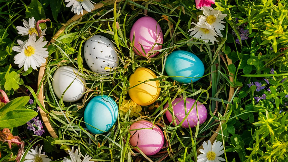 Engpässe an Ostern? Eier könnten in Deutschland knapp werden