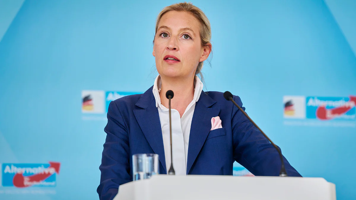 Alice Weidels Vermögen: So viel Geld verdient die AfD-Politikerin