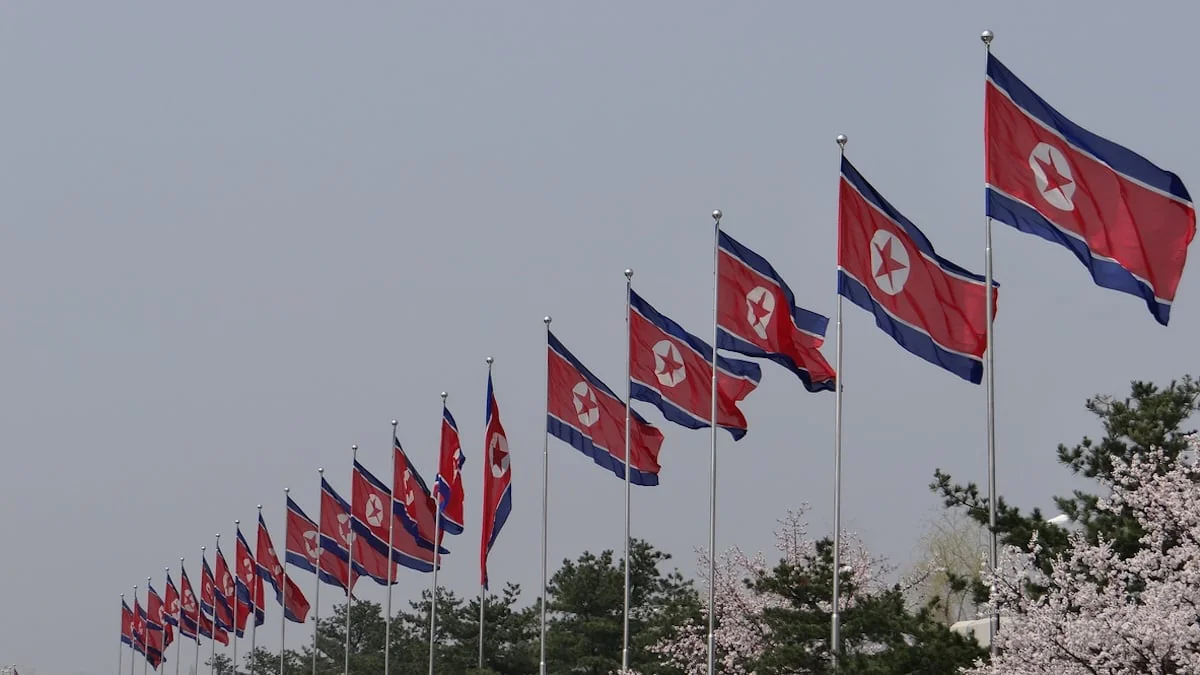 Flaggen Nordkorea in einer Reihe