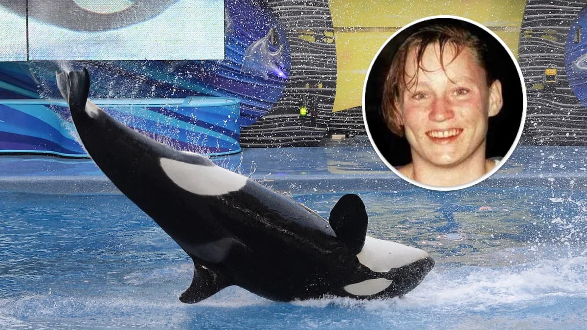 kelty-byrne-tod-schwertwal-tilikum