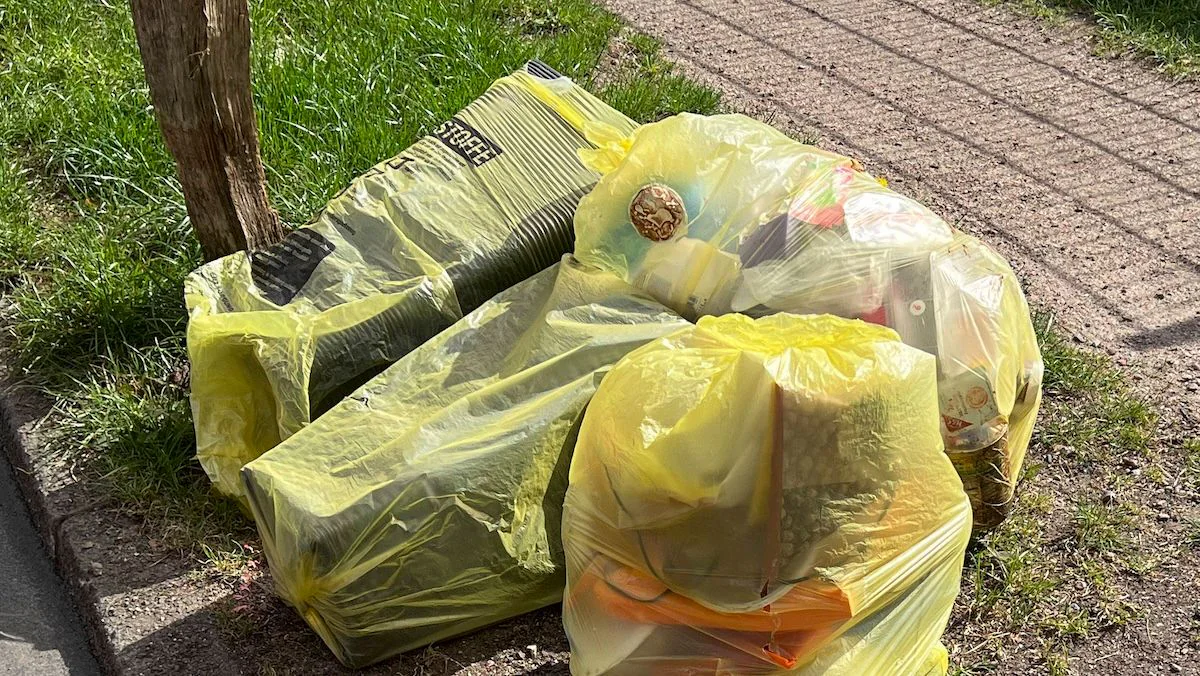 Viele machen es falsch: Diese Regel sollte man beim Müll-Trennen unbedingt beachten