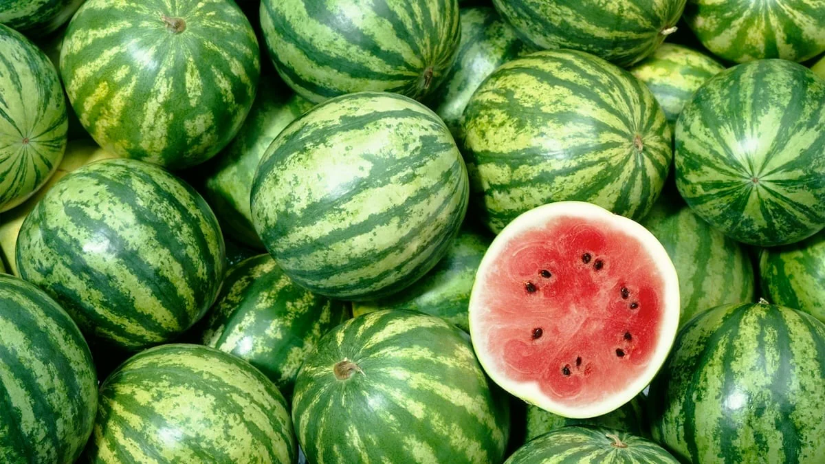 reife-wassermelone-erkennen