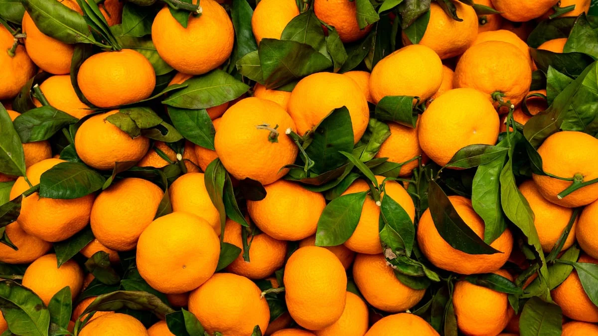 mandarinen-clementinen-unterschied