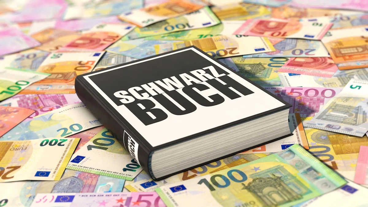 Schwarzbuch der Steuerzahler: Für diese Projekte wurden Steuergelder verschwendet