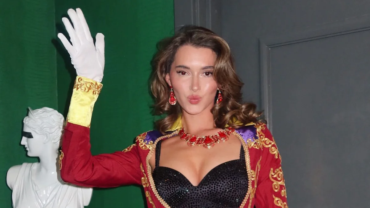 influencerin-party-shitstorm-krankheit