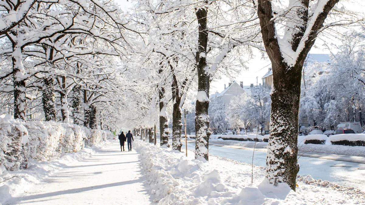 bauernregel-november-tag-winter-wetter