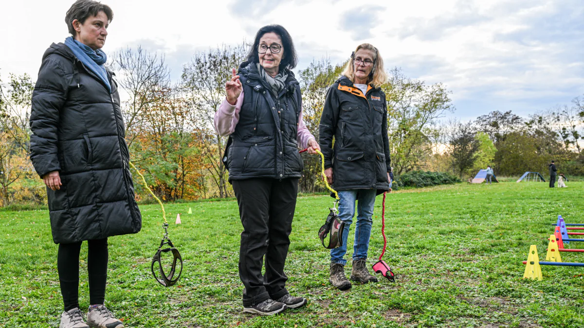 „Hobby Dogging“: Warum Gassigehen ohne Hund der neue Trend ist