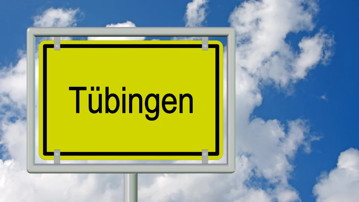 Gefährliche Spinne in Deutschland entdeckt: Uni Tübingen muss handeln