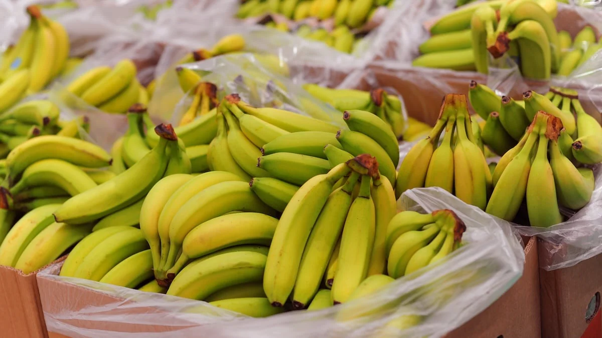 Grün, gelb oder braun? Wie man Bananen am besten essen sollte