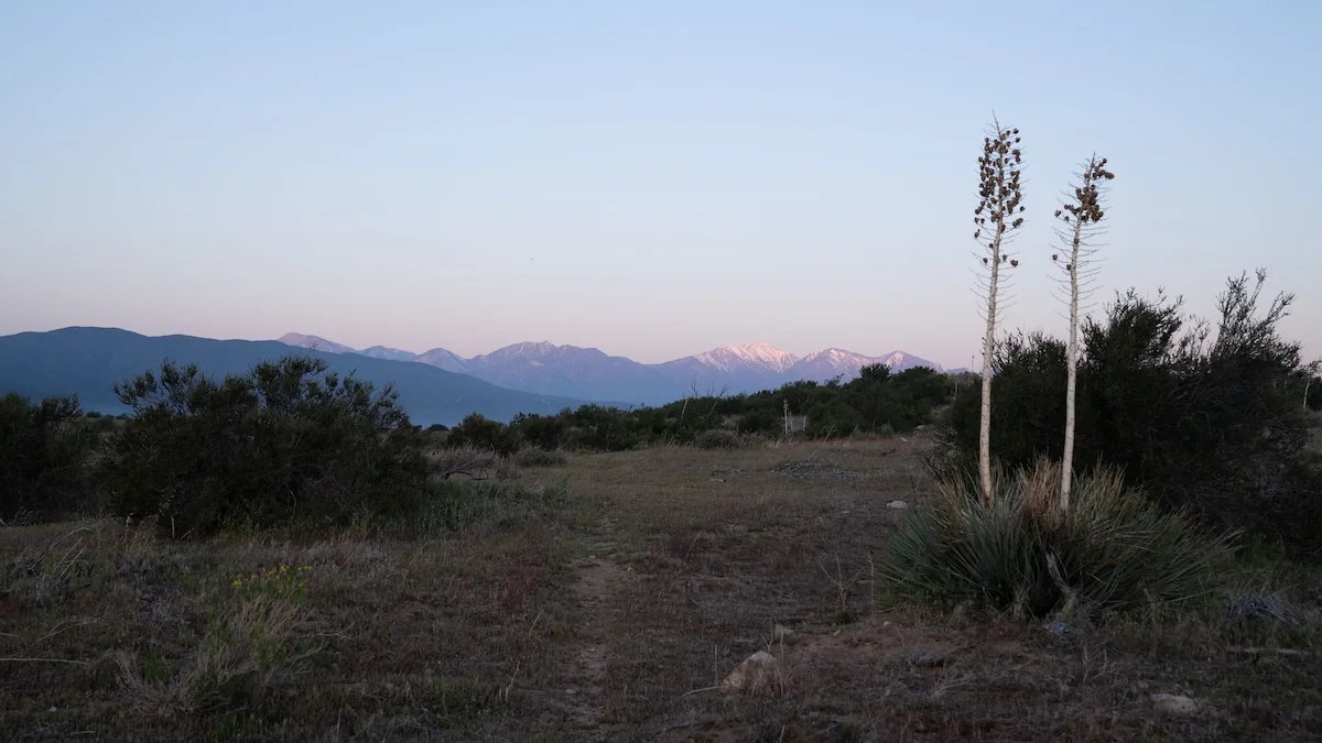Landschaft nahe der Planstadt Silverwood in Kalifornien: Wüste mit leichter Vegetation vor Bergkette